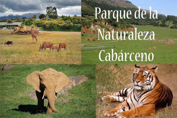 Parque-de-la-Naturaleza--Cabárceno